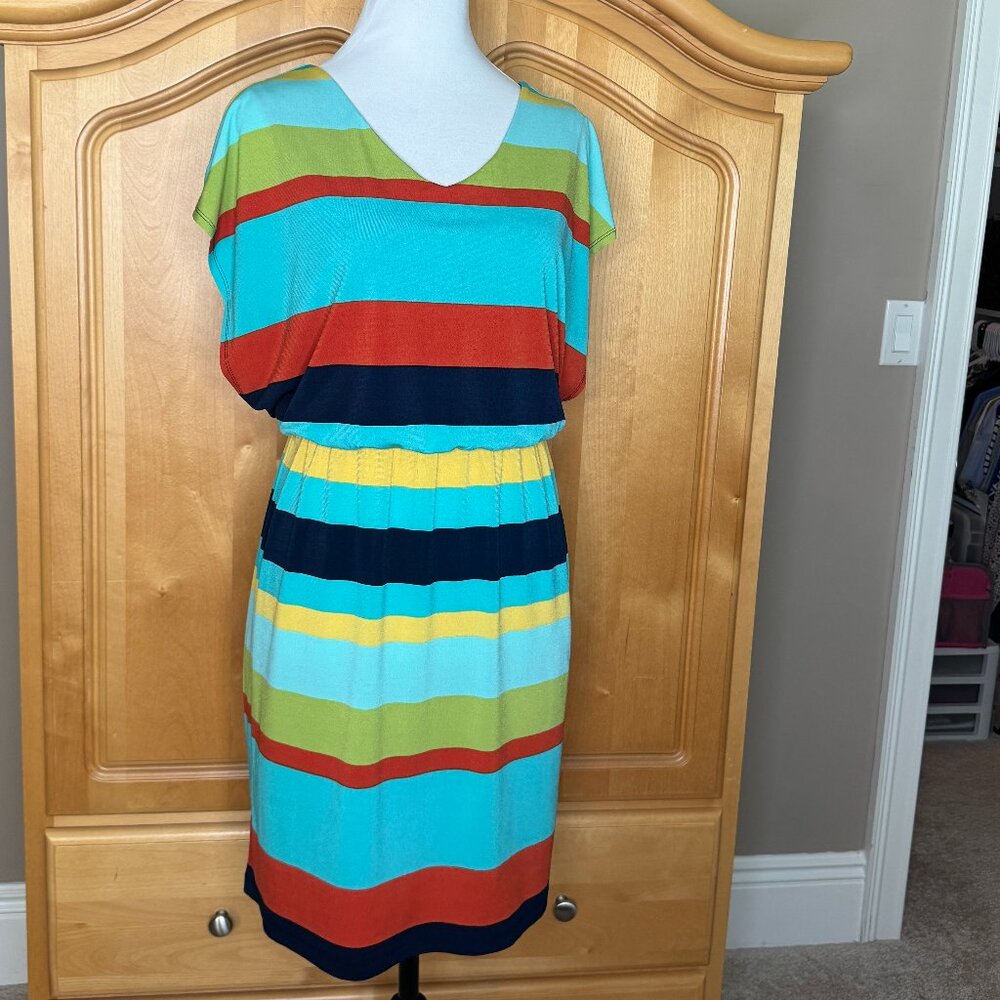 EnFocus Stripped V-Neck/Back Dress Size 6